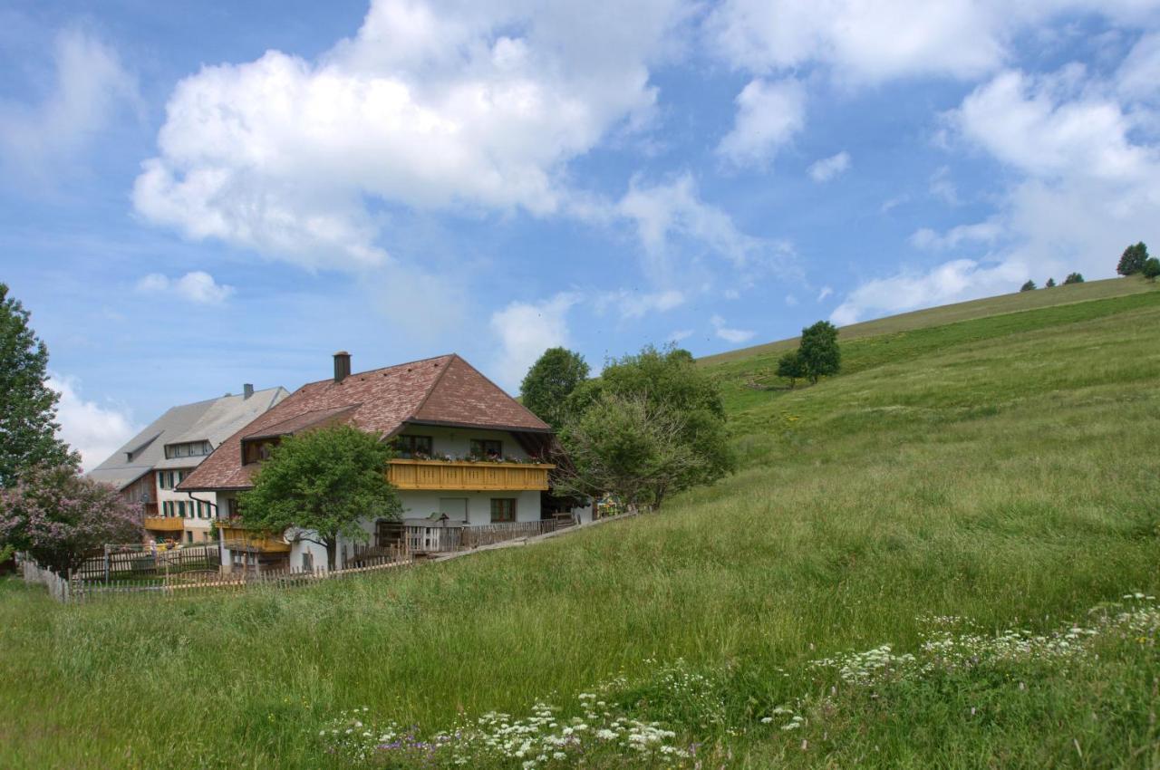Mittlerer Itzenwaldhof - Heimkehr Lejlighed Münstertal Eksteriør billede